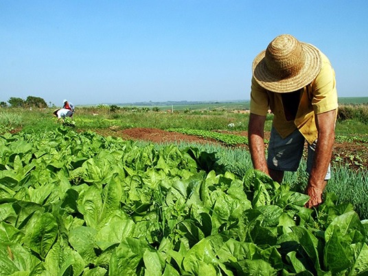 Reforma agrária - entenda o que é e como funciona